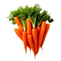 Carrots
